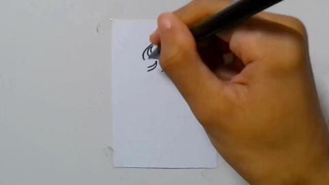 Draw tatto v55 2024 shorts