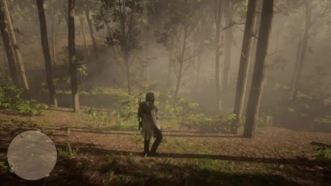 Red Dead Redemption 2 Legendary Fox Location and Hunt