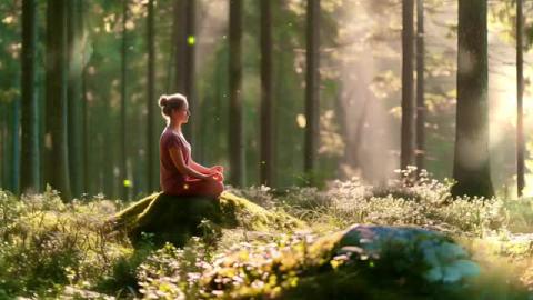 15 Minute Guitar Meditation Music - Bird Forest Ambience ...