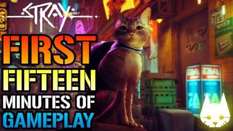 Stray: Amazing! FIRST 15 Minutes Of Gameplay! Inside The ...