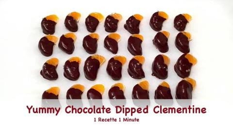Yummy Chocolate Dipped Clementine (shorts)