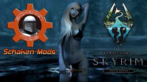 Skyrim SE - Rare Mods Review - Schaken Mods - Ninedaloria...