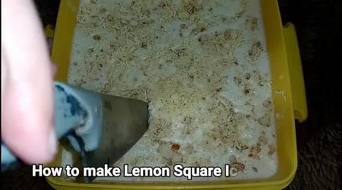 TBS100 _ LEMON SQUARE ICE CREAM CAKE