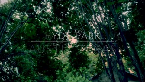 Hyde Park | Austin Texas | End of Summer | Cicadas at Sun...