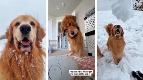 My Brother Came to Visit!