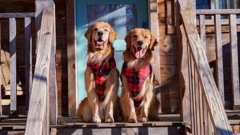 We Rented a Log Cabin!