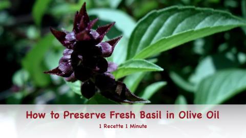 How to Store Fresh Basil - 2 Cooking Tips