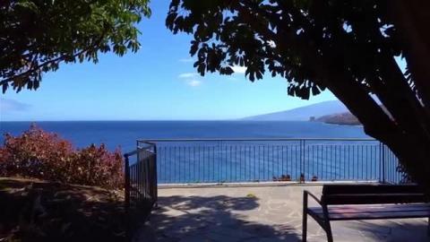 Beautiful relaxing songs _ study and meditation song _ be...