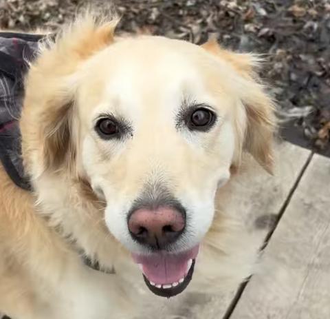 Lola in the Wind 