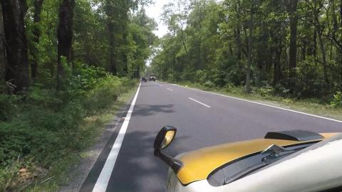Travelling Through Dense Forest | West Bengal