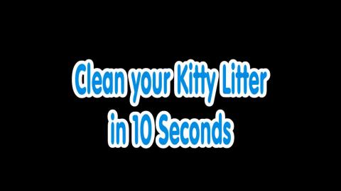 How to Clean Kitty Litter in 10 Seconds