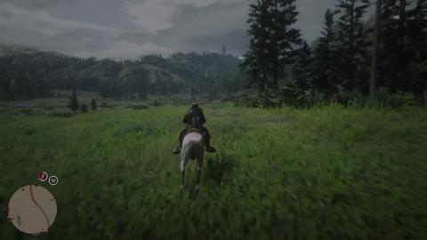 Red Dead Online Gameplay (6)
