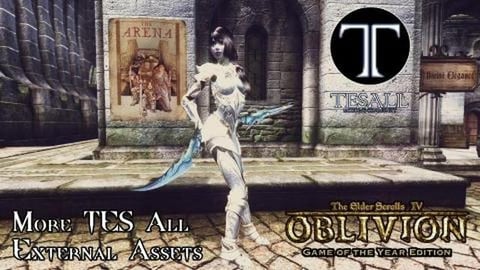 More TES All RU External Assets - TES IV: Oblivion