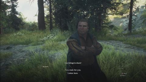 Dragon's Dogma 2, Bob Ross Style 4