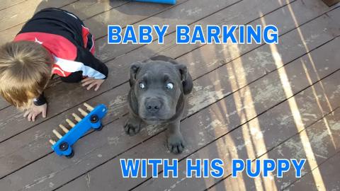 BABY BARKING LIKE A DOG WITH HIS PUPPY
