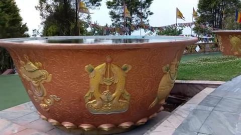 Beautiful Surroundings of Buddha Park | Ravangla | Sikkim...