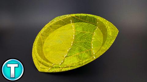 The Leaf Plate