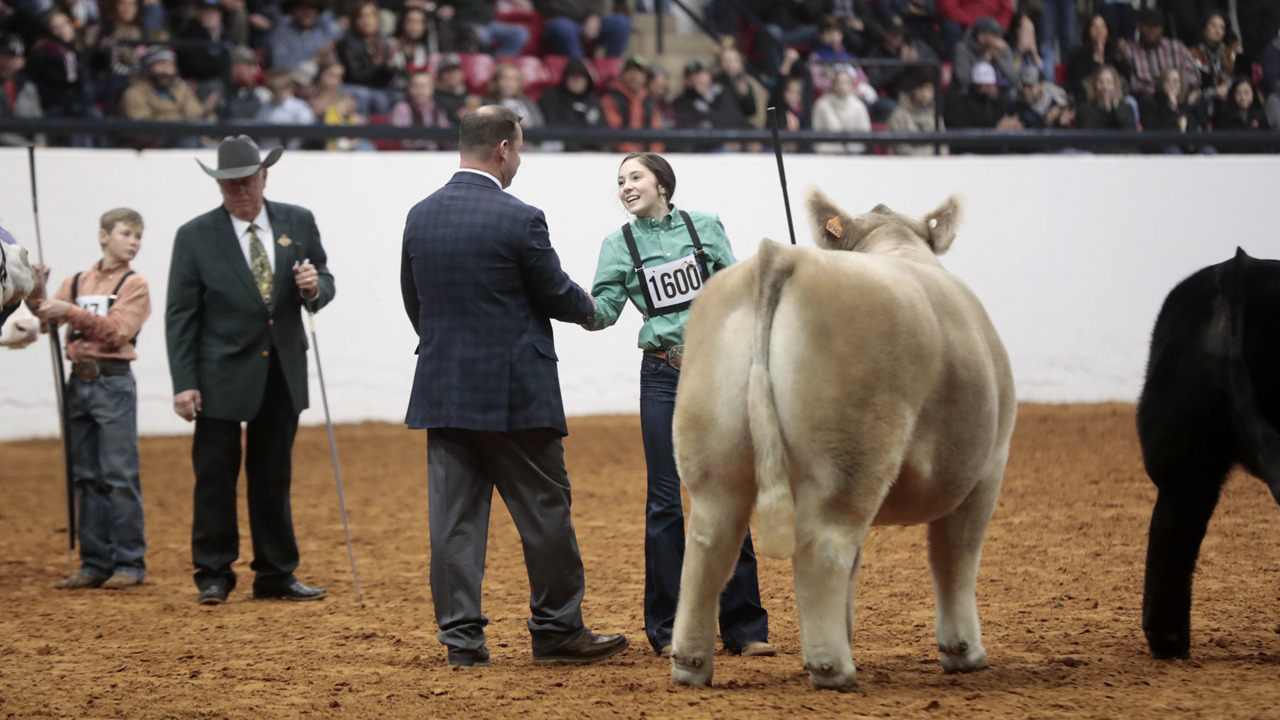 Abilene teen’s steer wins grand champion at Fort Worth Stock Show | Fort Worth Star-Telegram