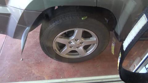 Husky & Malamute had a bath, now treat time