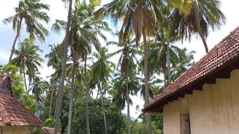 Inside the Padmanabhapuram Palace | Kerala