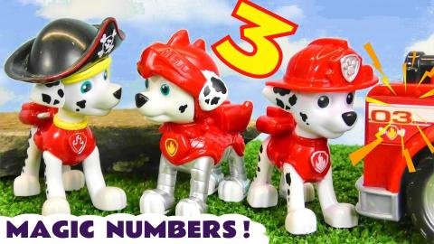 Paw Patrol Fun Magic Numbers Story with Marshall 