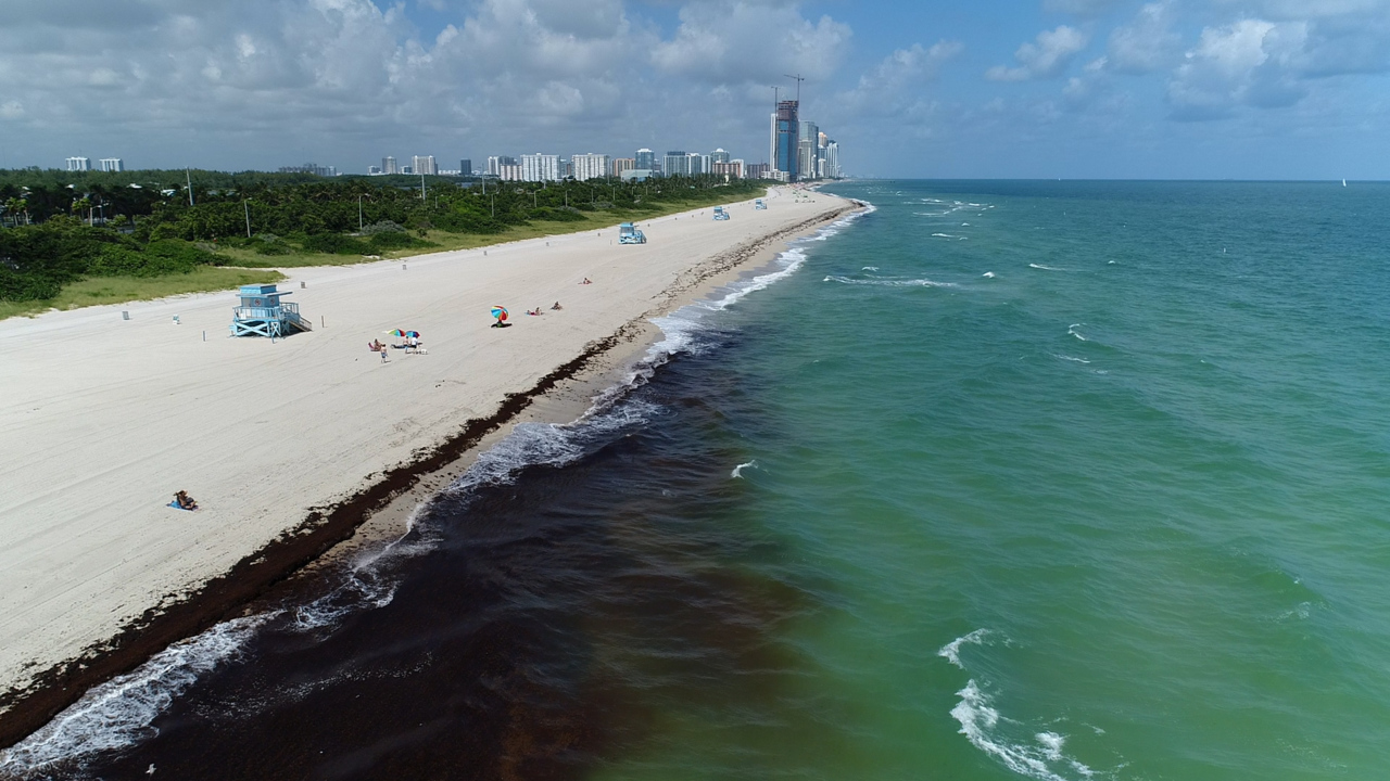 Key Biscayne beaches nearer federal protection aid - Miami Today