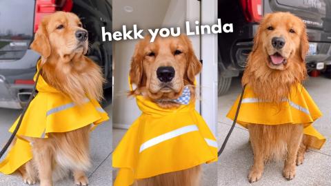 Tucker Hates His Raincoat