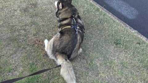 Checking out resurfaced road & meeting some friends