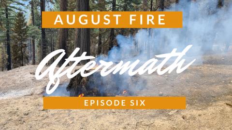 August Fire Aftermath - Widowmaker - Episode 06