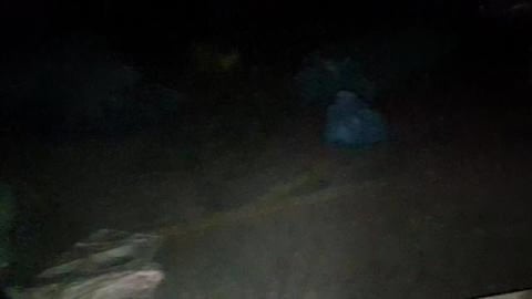 WEIRD ABANDONED feather factory