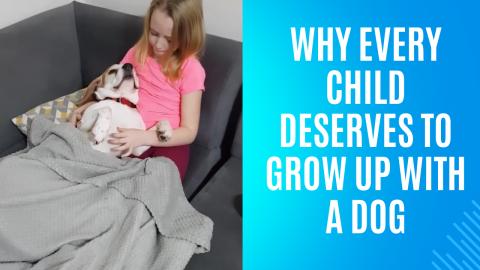 Why Every Child Deserves to Grow Up with a Dog