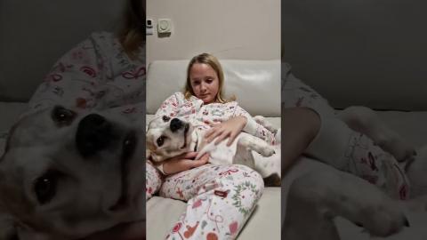 Some Beagle sounds that might melt your heart❤️