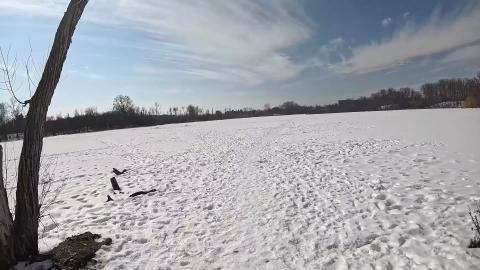 Walkers Pond sunkin Hockey Net