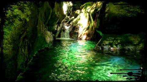 Behind New Zealand's Mossy Curtain 