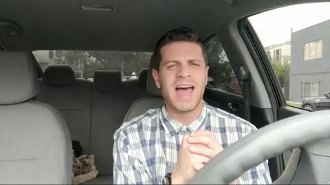 Liking Adult Cats Is Like Listening To Madonna's Recent S...