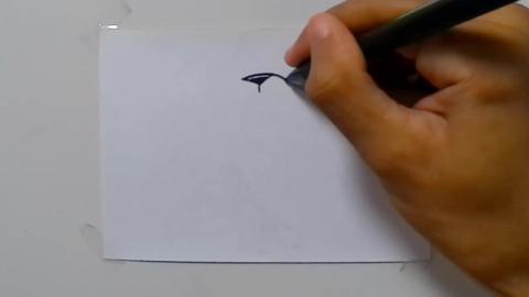 Drawing wolf zombie graffiti shorts