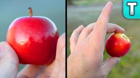 Rockit Apple Fruits You've Never Heard Of