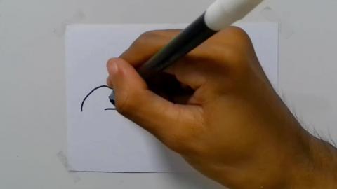 Drawing Grafiti weed and cash cartoon shorts