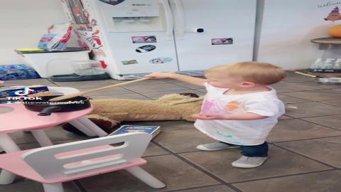 Baby Cooks Malamute Dinner