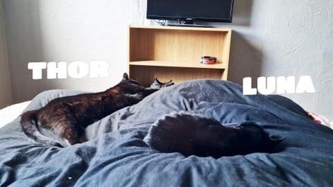 Wake up with so much love