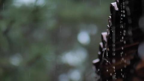 Relaxing Video _ Relaxing Rain Music _Relaxing Piano Musi...