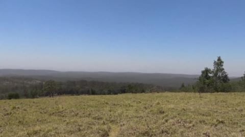 Huskies take us for a hike through Ravensbourne Forest