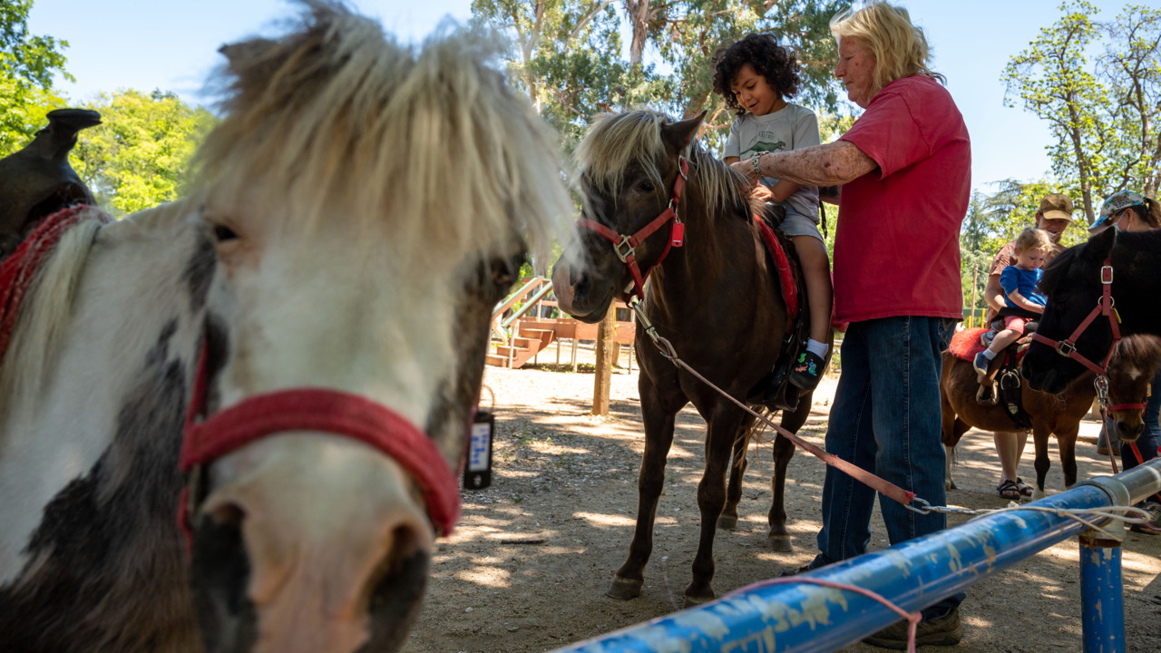 Land Park Pony Rides' last day of operations in Sacramento Sacramento Bee