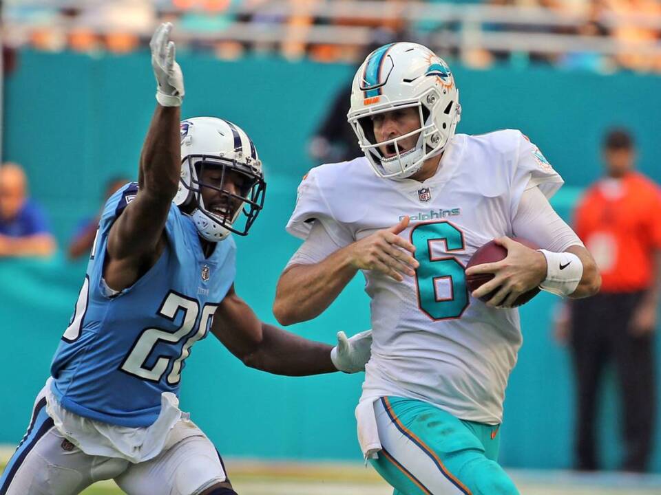 Miami Dolphins fans chant for Matt Moore