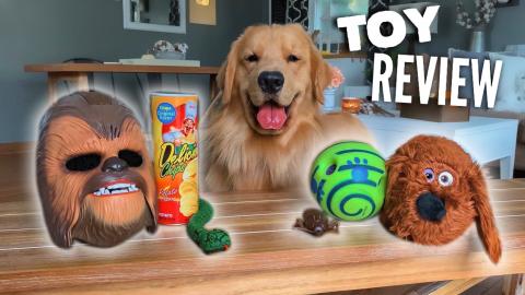 My Dog Reviews Toys