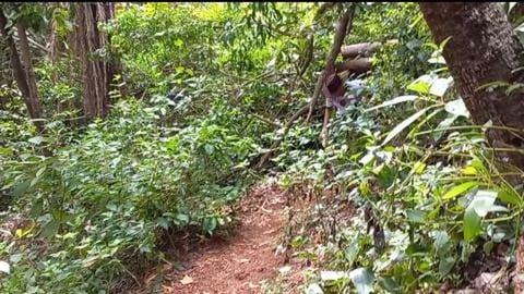 Trekked From Om Beach To Half Moon Beach In Gokarna | Kar...