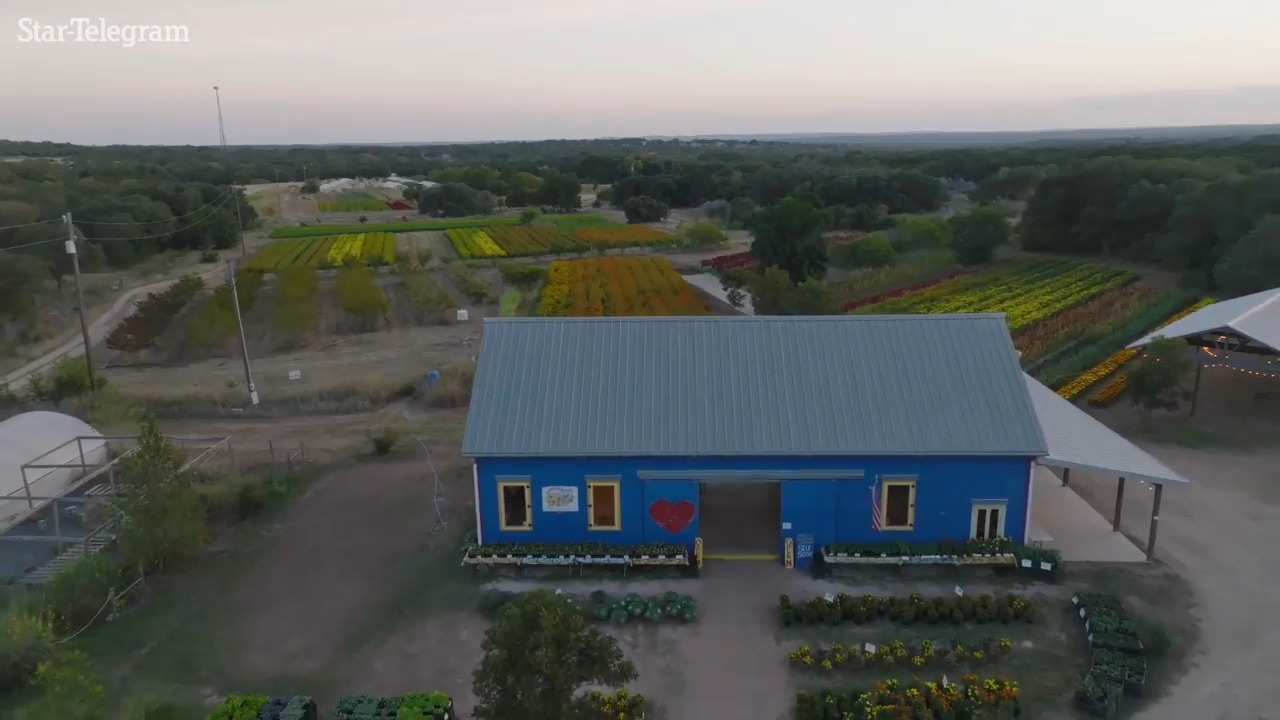 59acre flower farm for sale in Texas explodes with color Mahoning