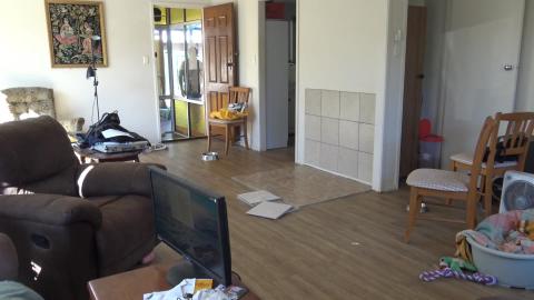 Malamute & husky get a new fireplace