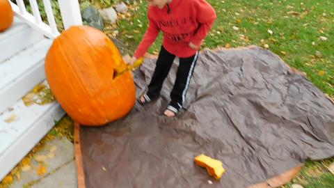 Largest Giant Field Pumpkin grown in Michigan 2019 