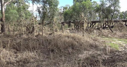 Bad idea for Husky girl to go swimming in the river
